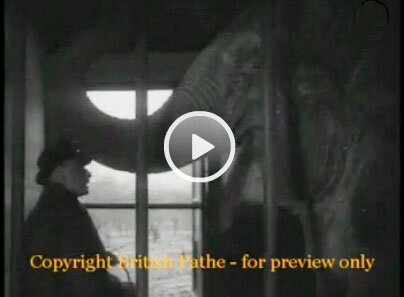 Sir Garrard with his two elephants.